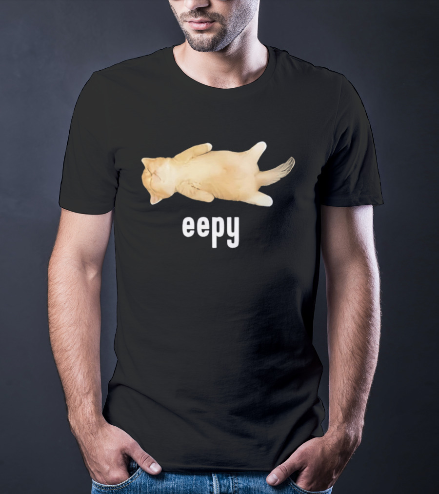 Eepy Sleeping Orange Kitten Cat Meme T-Shirt