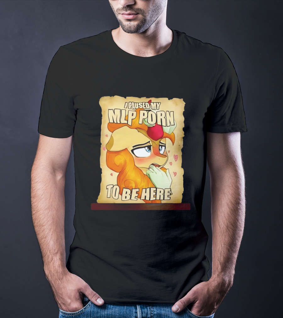 I Paused My MLP Porn To Be Here My Little Pony T-Shirt