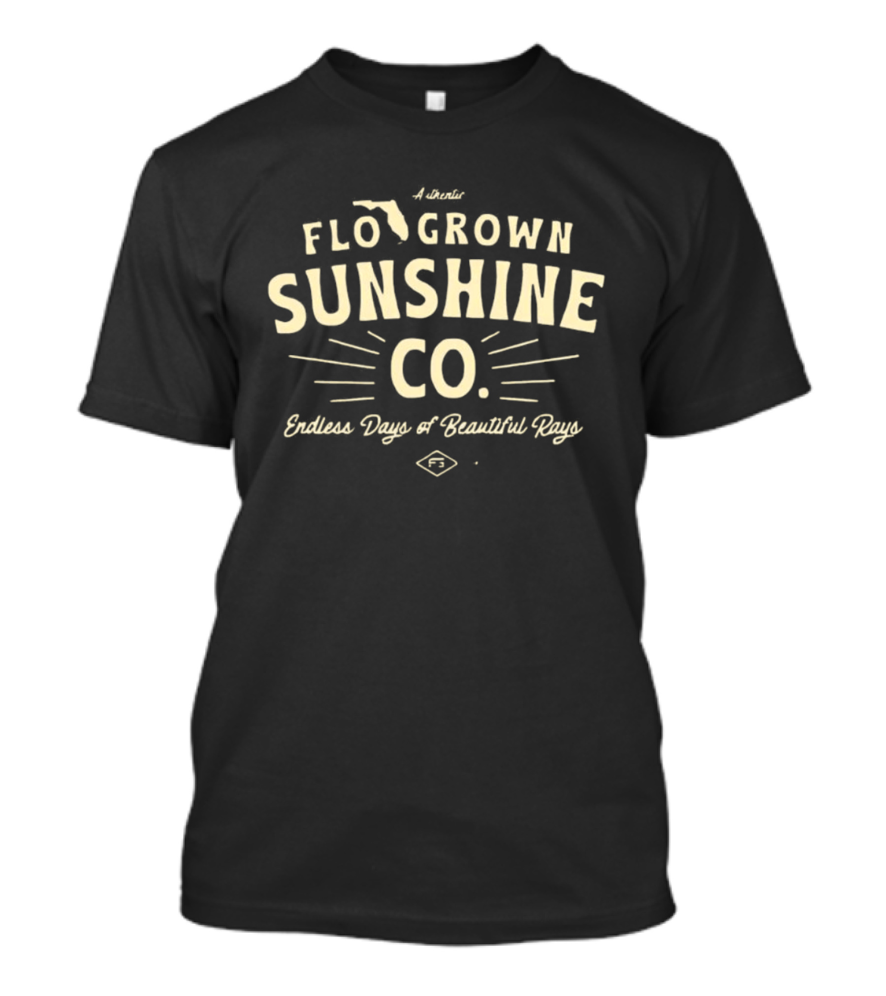 Flo Grown Sunshine Co Endless Days Of Beautiful Rays Florida State T-Shirt
