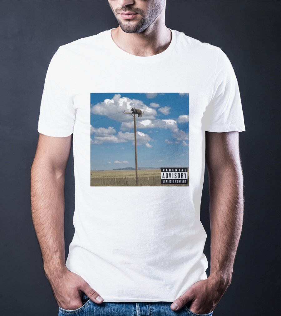 Bear On Top Of The Light Pole Parental Advisory Explicit Content Clouds Sky T-Shirt