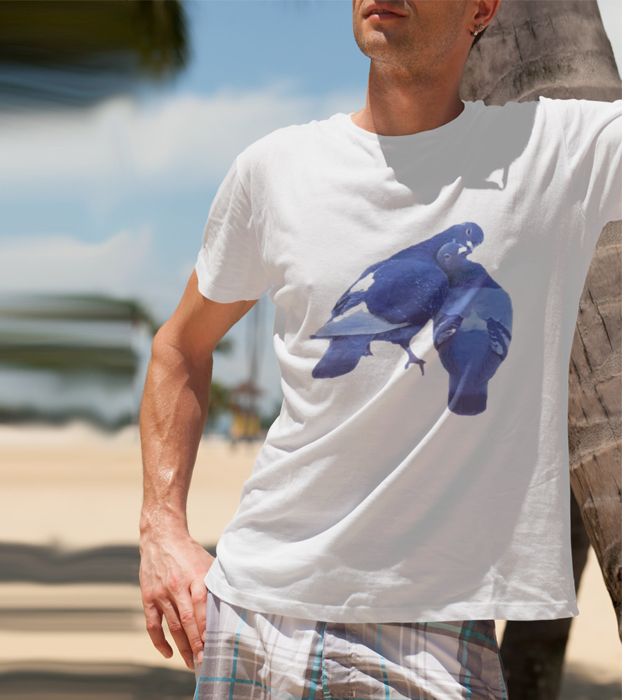 Love Doves Sports Banger Blue Pigeons Embrace T-Shirt