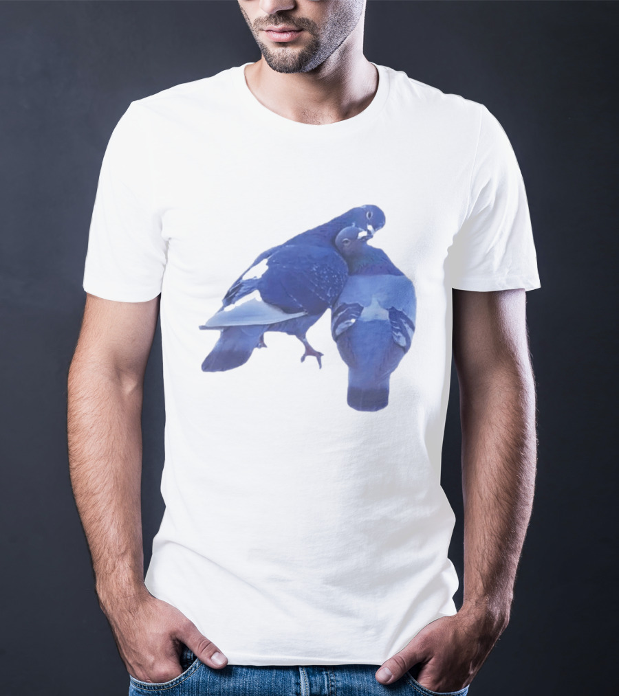Love Doves Sports Banger Blue Pigeons Embrace T-Shirt