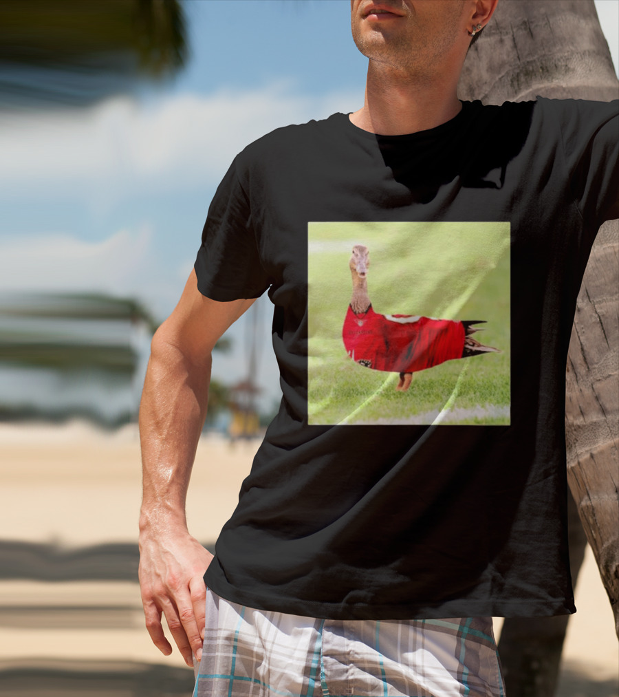 Tampa Bay Buccaneers Duck 2026 Football Fan T-Shirt