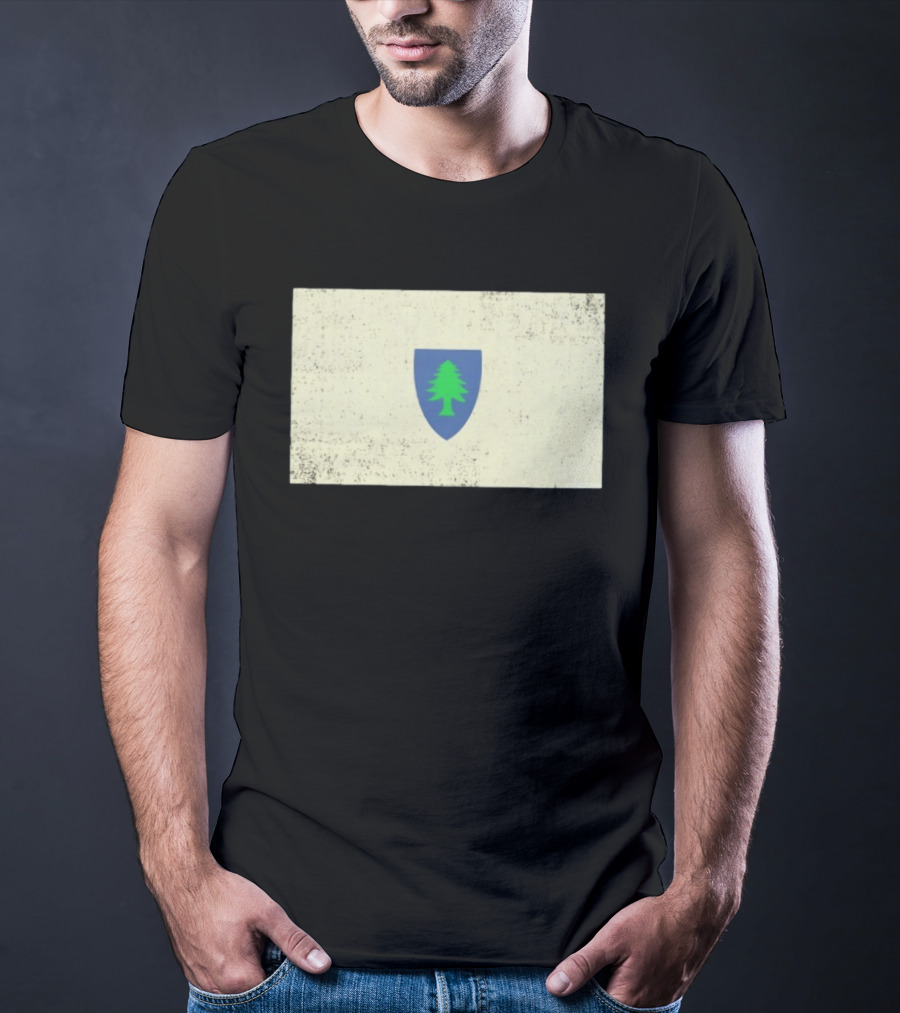 Massachusetts Flag Pine Tree Symbol On Vintage Shield T-Shirt