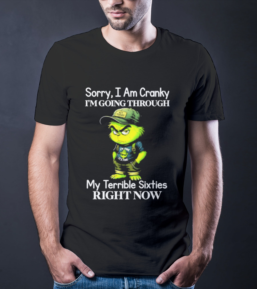 Sorry I Am Cranky I'm Going Through My Terrible Sixties Right Now T-Shirt