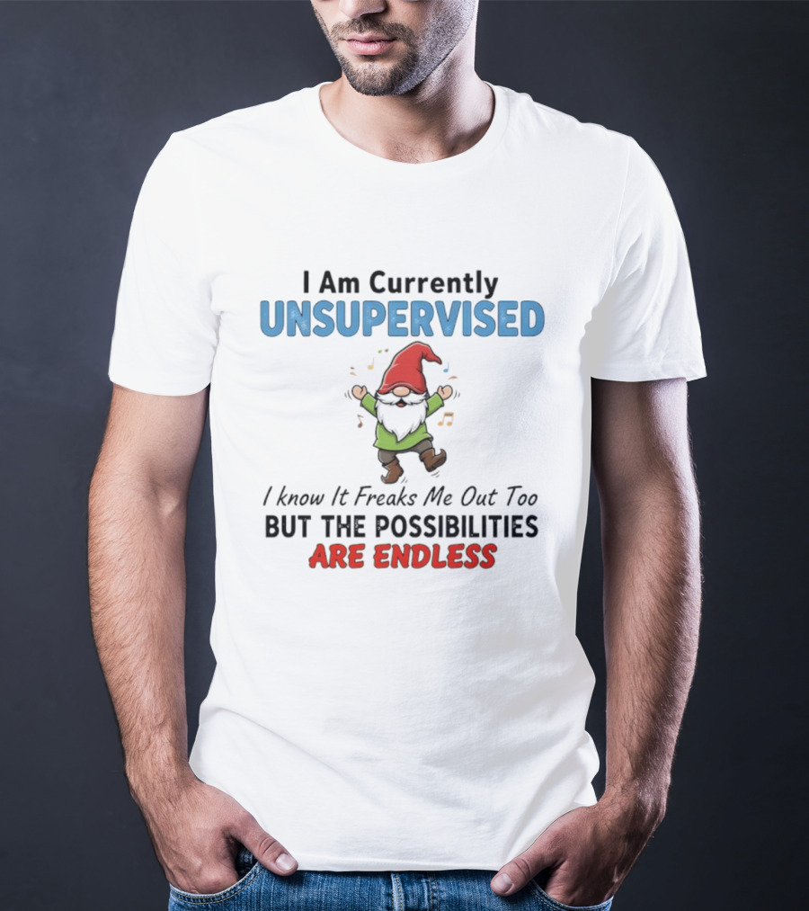 Unsupervised Gnome Christmas Possibilities Endless Fun T-Shirt