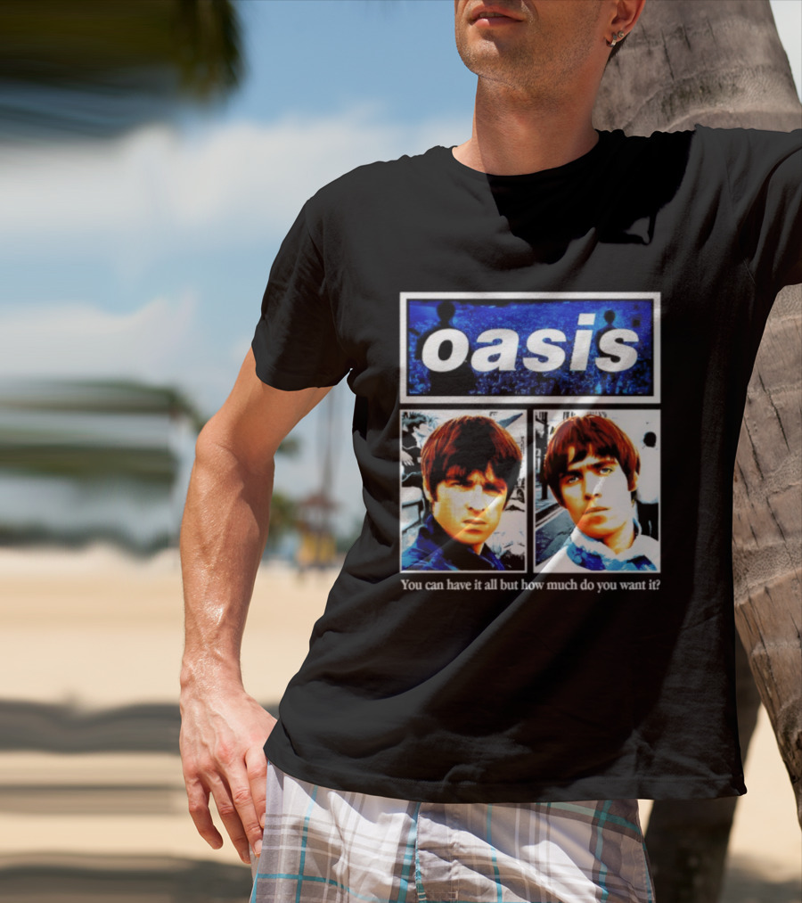 Oasis You Can Have It All But How Much Do You Want It Music Band T-Shirt