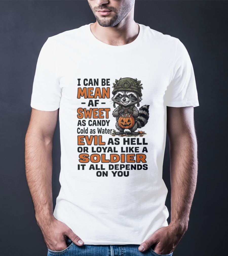 Raccoon I Can Be Mean AF Sweet As Candy Cold As Water Evil As Hell Or Loyal Like A Soldier It All Depends On You T-Shirt