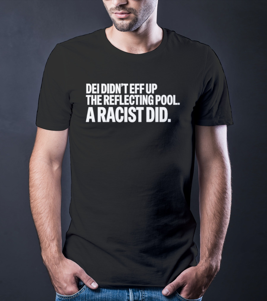 DEI Didn't Eff Up The Reflecting Pool A Racist Did T-Shirt