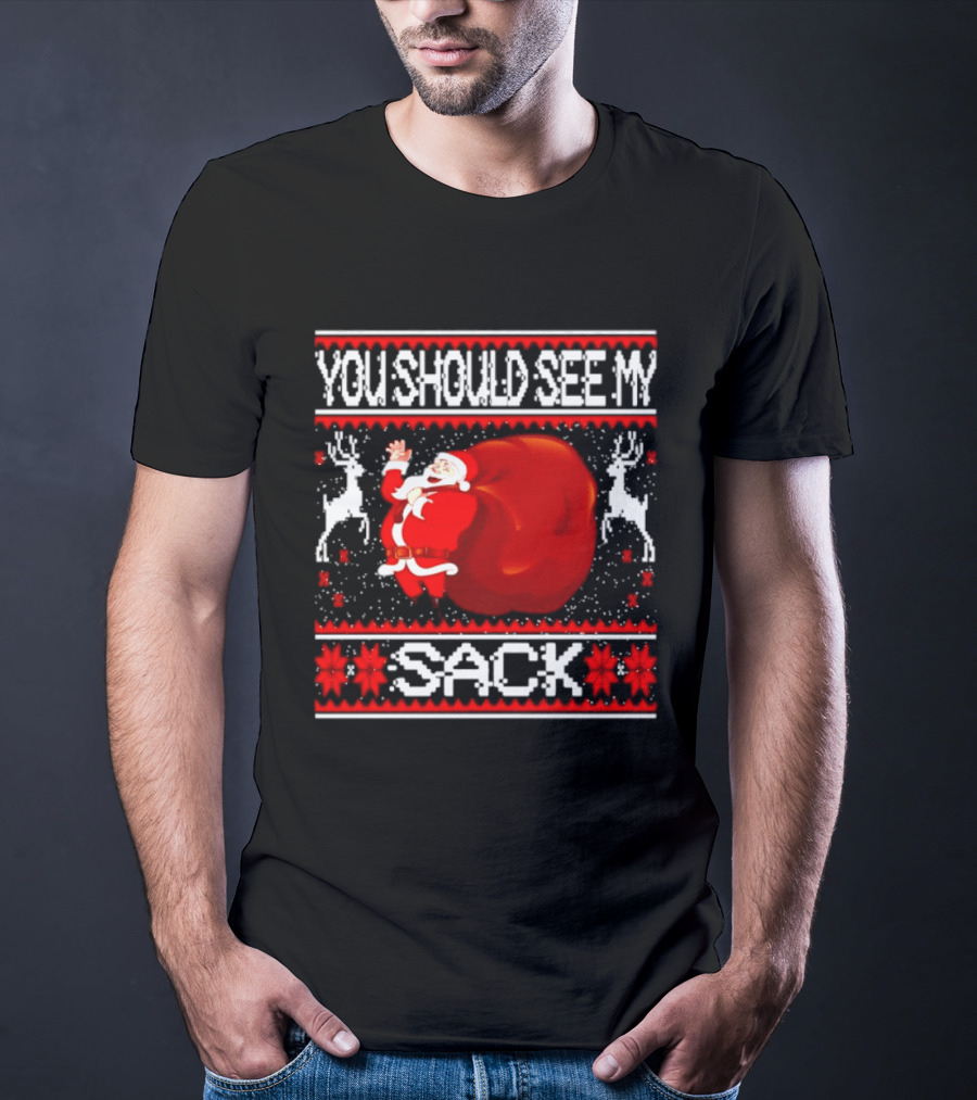 You Should See My Sack Santa Claus Ugly Christmas Reindeer Snowflakes T-Shirt