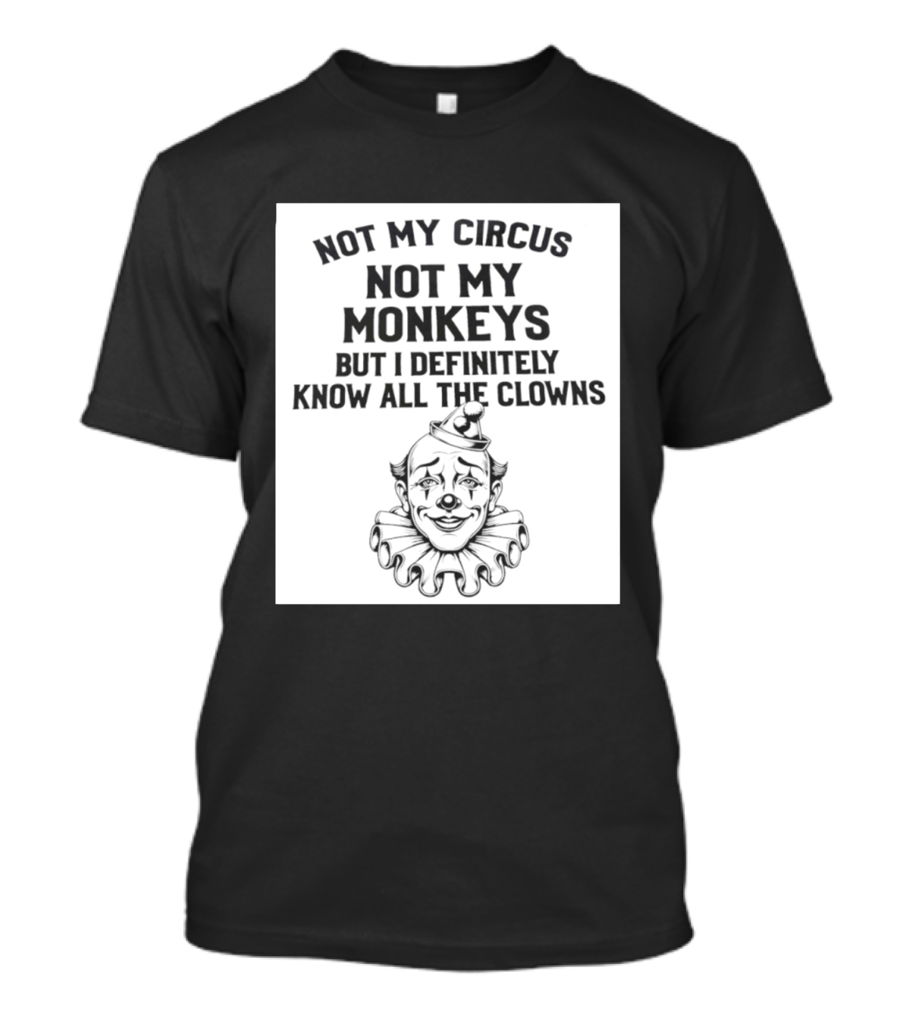 Not My Circus Not My Monkeys But I Definitely Know All The Clowns T-Shirt