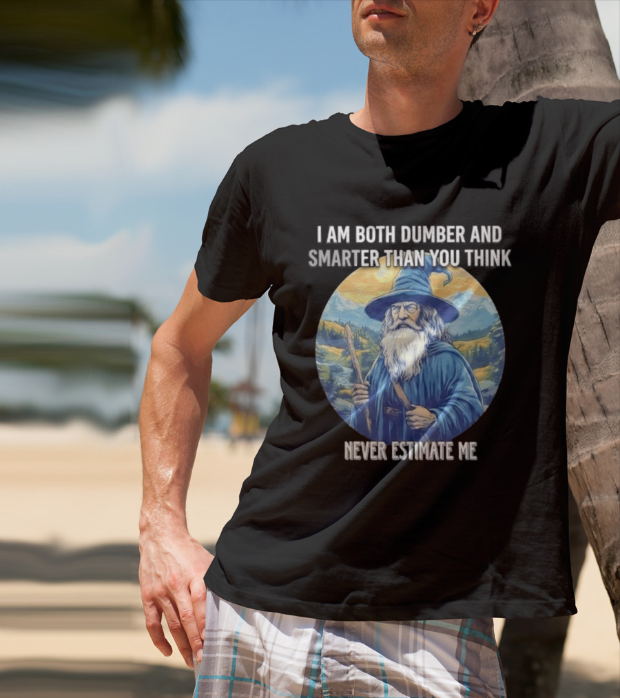 I Am Both Dumber And Smarter Than You Think Never Estimate Me Wizard Blue Robe And Hat Mountain T-Shirt