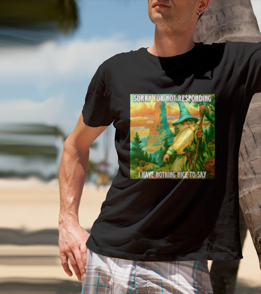 Sorry For Not Responding I Have Nothing Nice To Say Wizard Scene T-Shirt