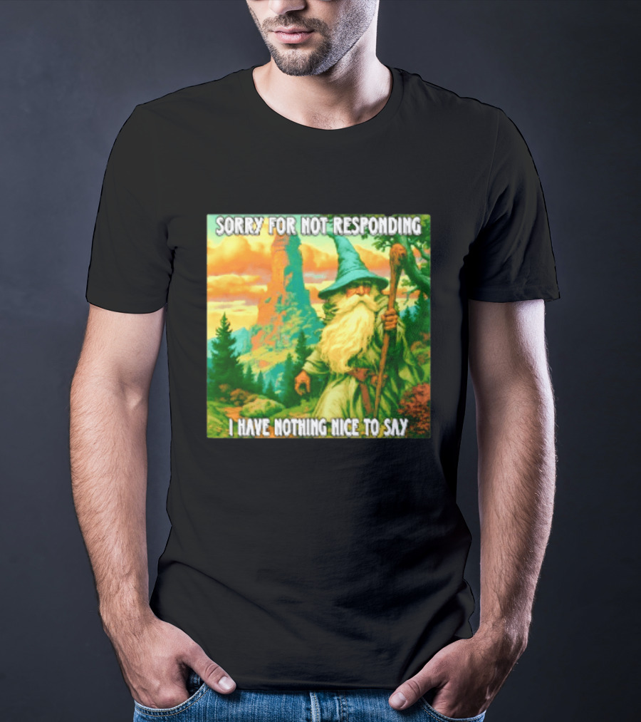 Sorry For Not Responding I Have Nothing Nice To Say Wizard Scene T-Shirt