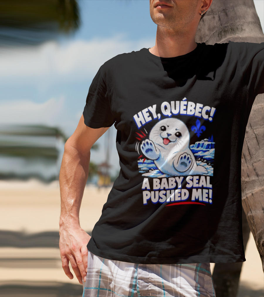 Hey Quebec A Baby Seal Pushed Me Cute Harp Seal Iceberg Splash T-Shirt