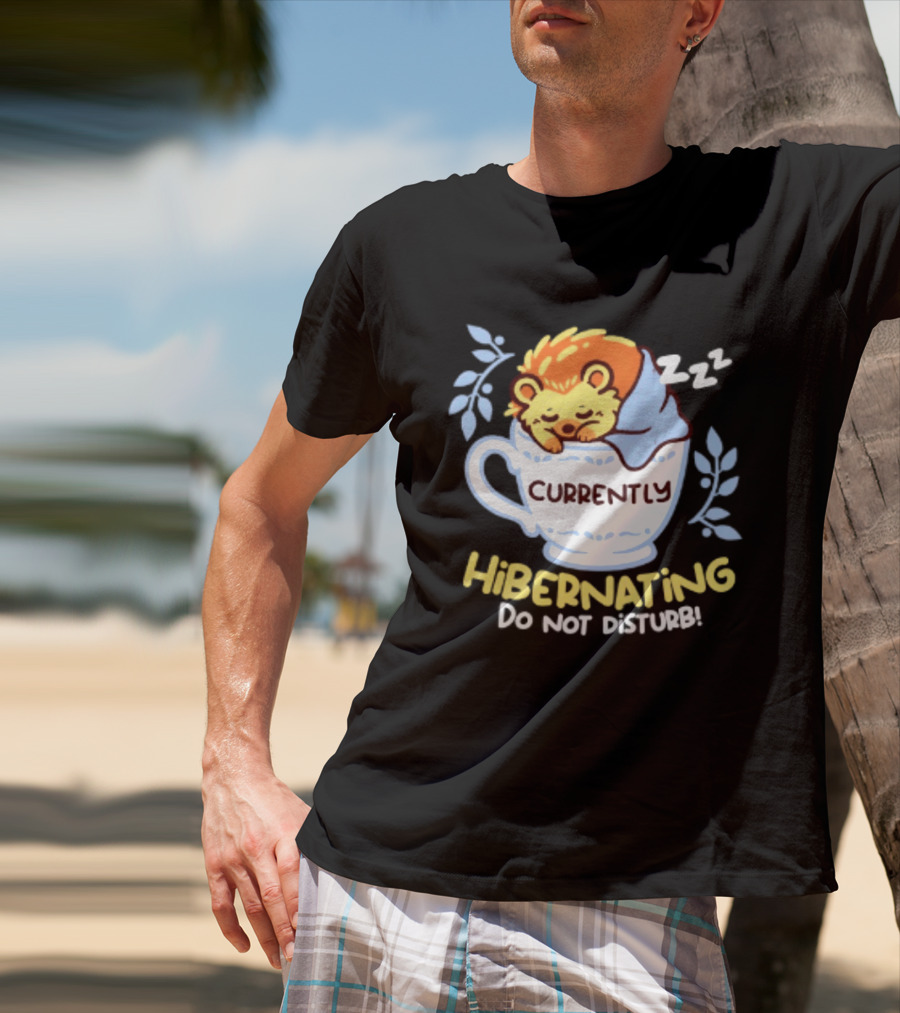 Currently Hibernating Do Not Disturb Hedgehog In Teacup Python T-Shirt