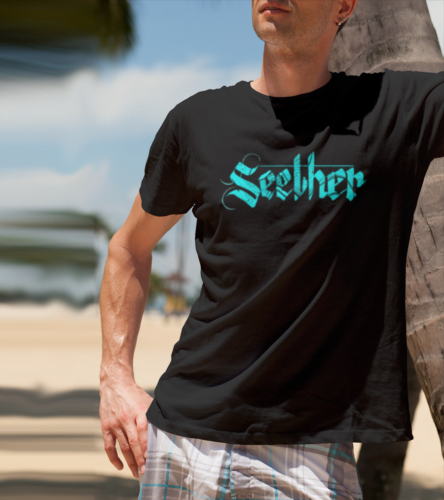 Seether Break The Cycle Tour 2026 North America The Surface Seems So Far T-Shirt