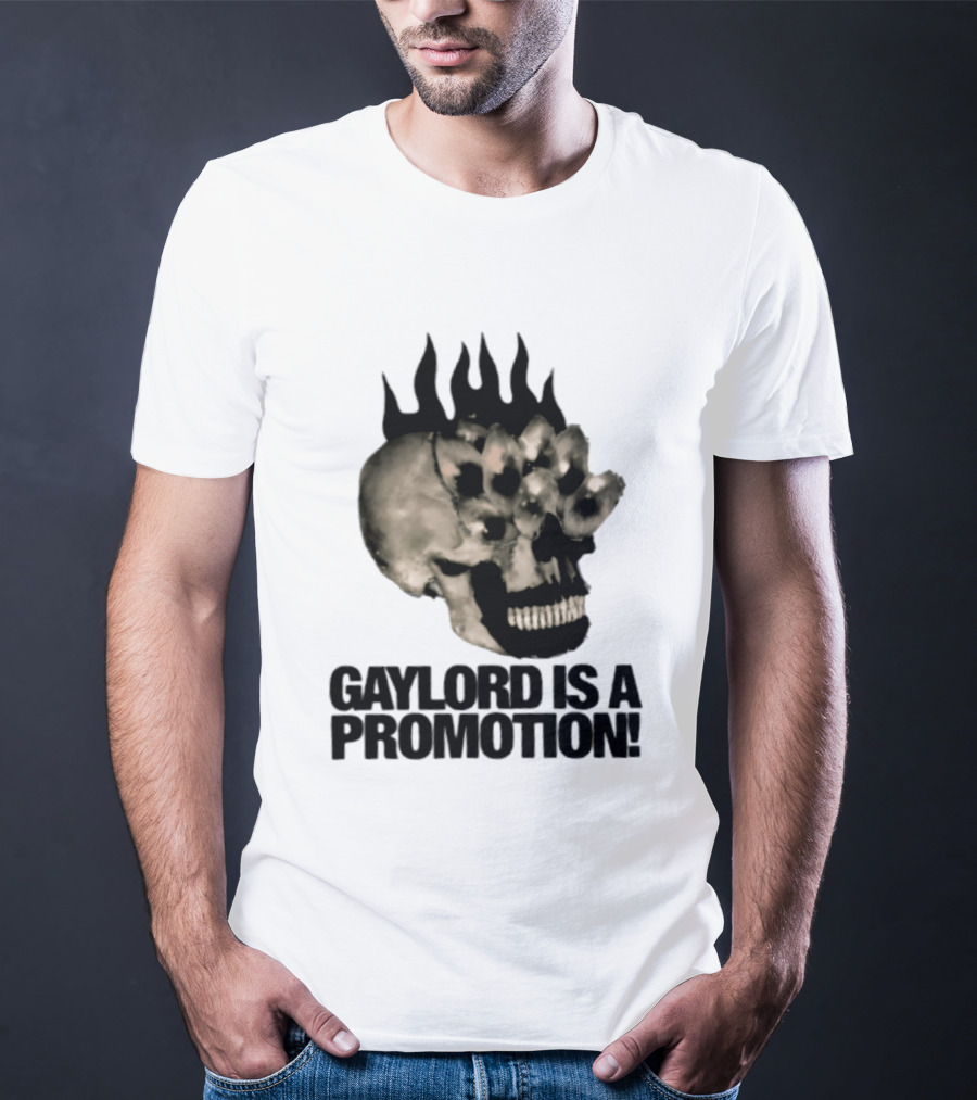 Gaylord Is A Promotion Skull Flamed Spikes Sarcastic T-Shirt