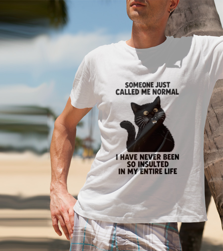 Someone Just Called Me Normal Black Cat Humor Never Been So Insulted In My Entire Life T-Shirt