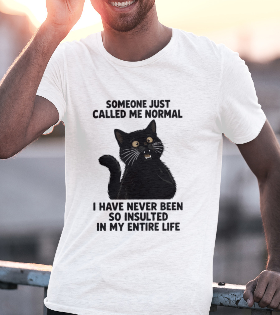 Someone Just Called Me Normal Black Cat Humor Never Been So Insulted In My Entire Life T-Shirt