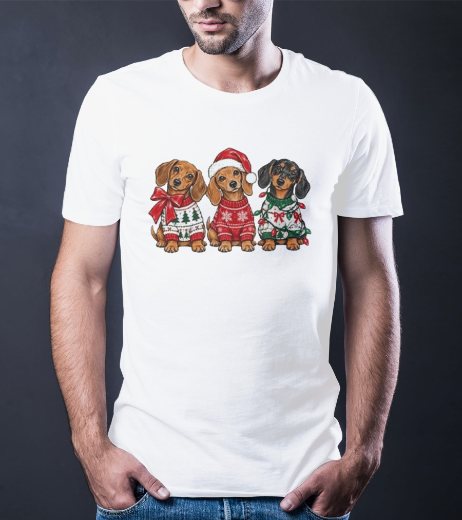 Cozy Christmas Dachshund Trio In Festive Sweaters With Santa Hat T-Shirt