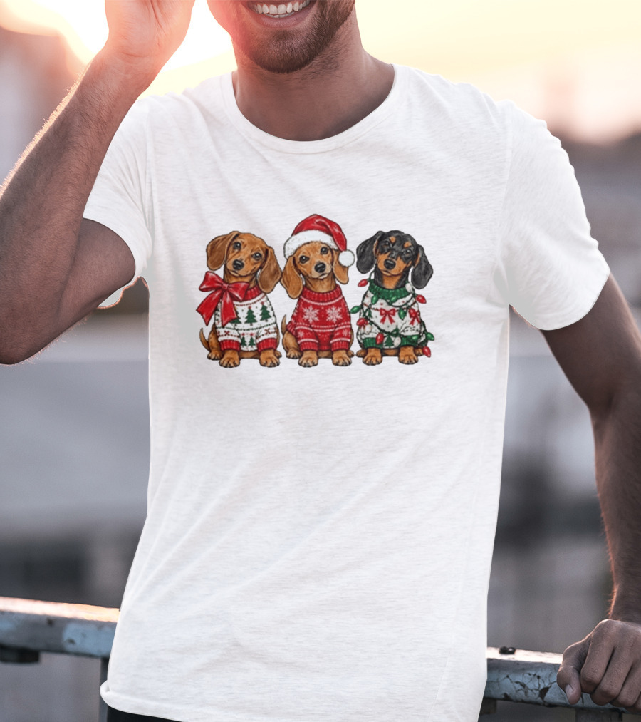 Cozy Christmas Dachshund Trio In Festive Sweaters With Santa Hat T-Shirt