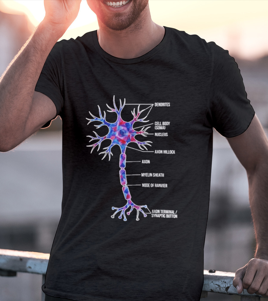 Dendrites Cell Body Soma Nucleus Axon Hillock Axon Myelin Sheath Node Of Ranvier Axon Terminal Synaptic Bouton T-Shirt