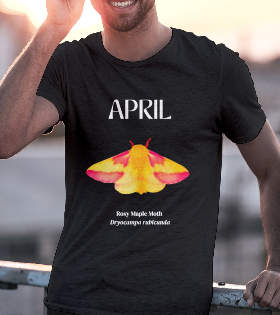 April Rosy Maple Moth Dryocampa Rubicunda Vibrant Yellow Pink Insect T-Shirt