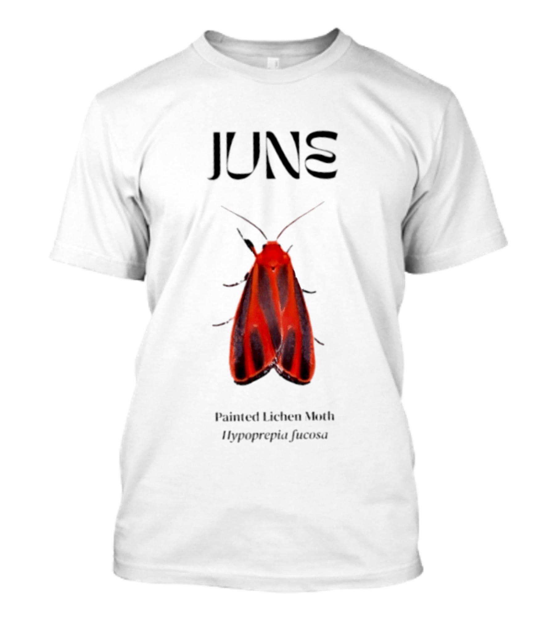 June Hypoprepia Fucosa Painted Lichen Moth T-Shirt
