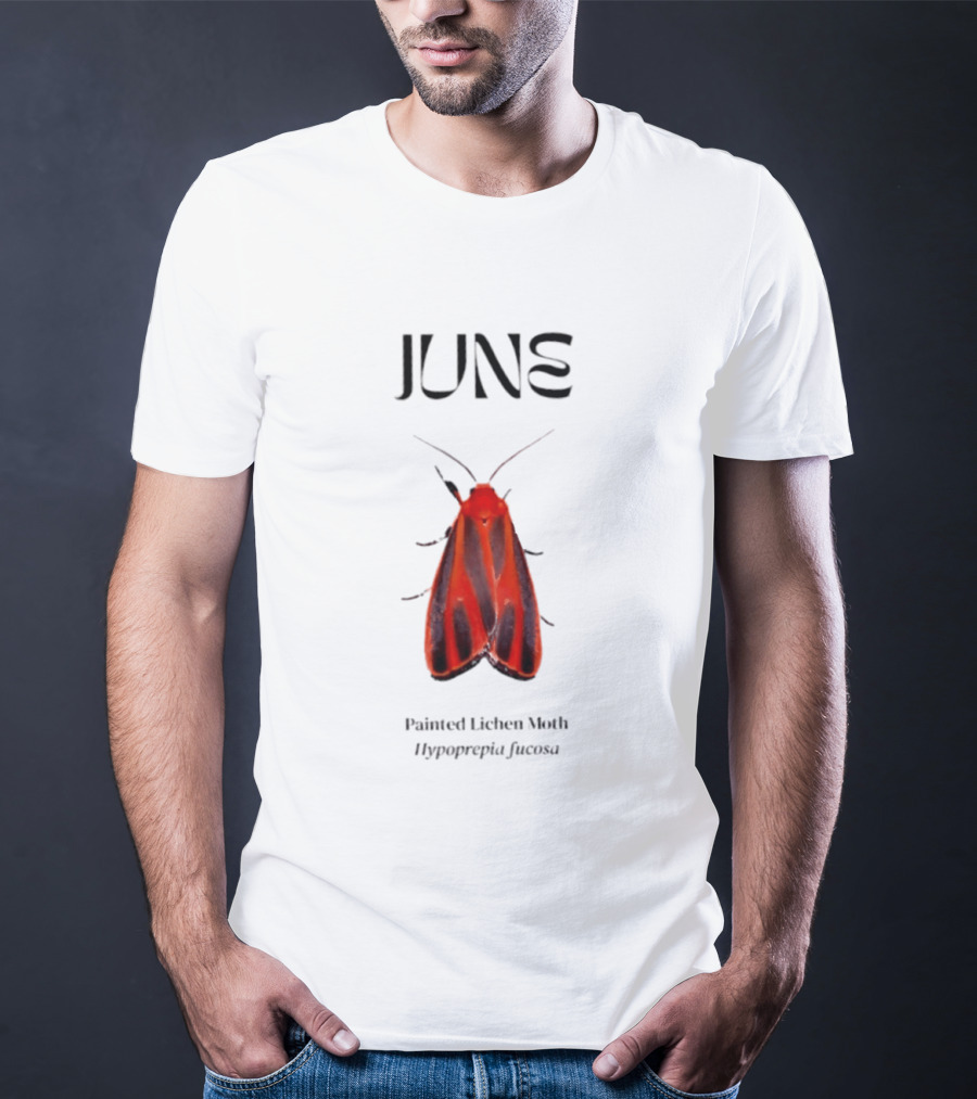 June Hypoprepia Fucosa Painted Lichen Moth T-Shirt