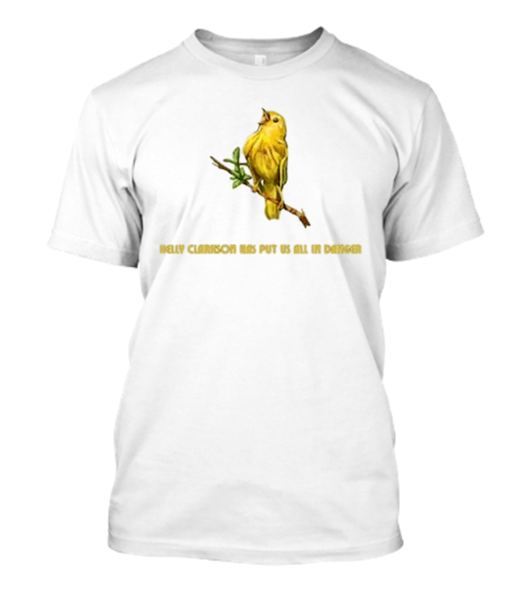 Kelly Clarkson Has Put Us All In Danger Molly Bird T-Shirt
