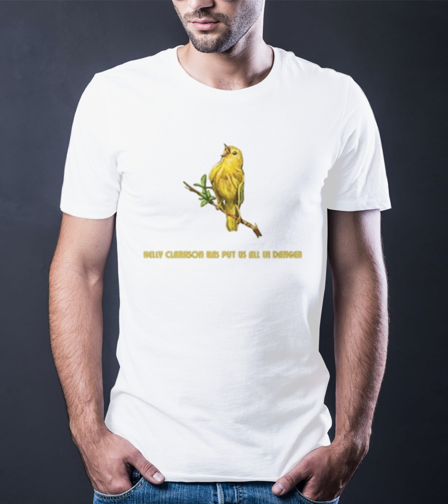 Kelly Clarkson Has Put Us All In Danger Molly Bird T-Shirt