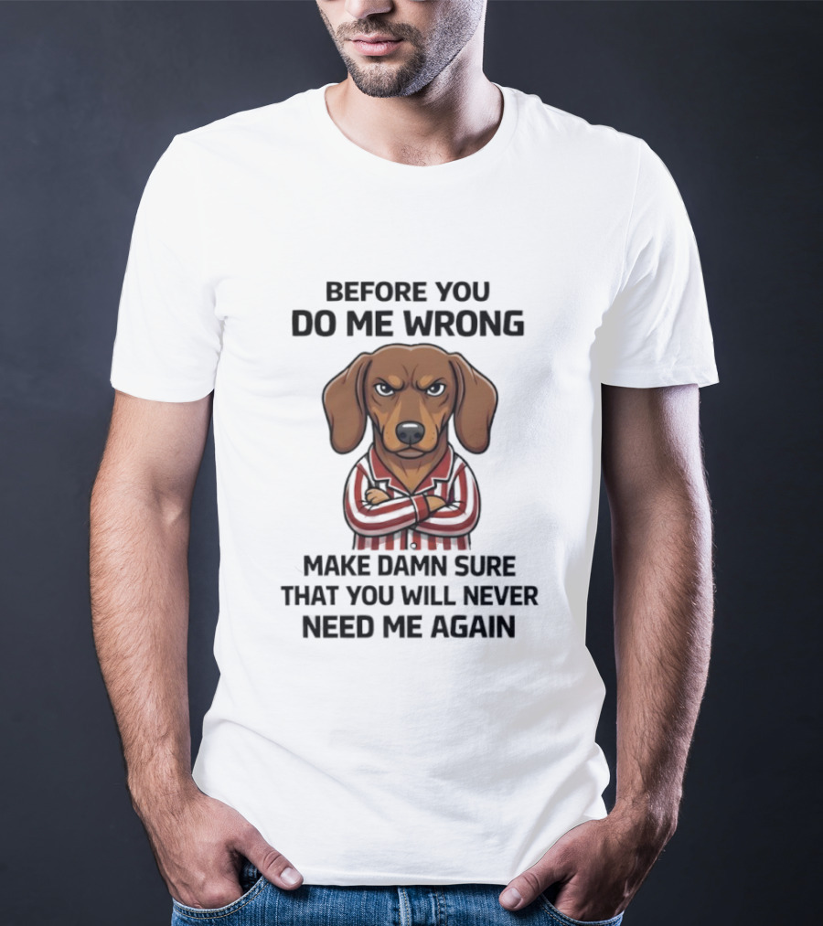 Grumpy Dog Before You Do Me Wrong Make Damn Sure You Will Never Need Me Again T-Shirt