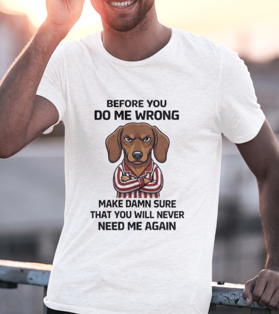 Grumpy Dog Before You Do Me Wrong Make Damn Sure You Will Never Need Me Again T-Shirt