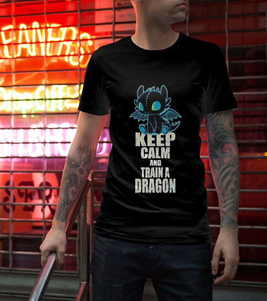Keep Calm And Train A Dragon Toothless How To Train Your Dragon Cartoon T-Shirt