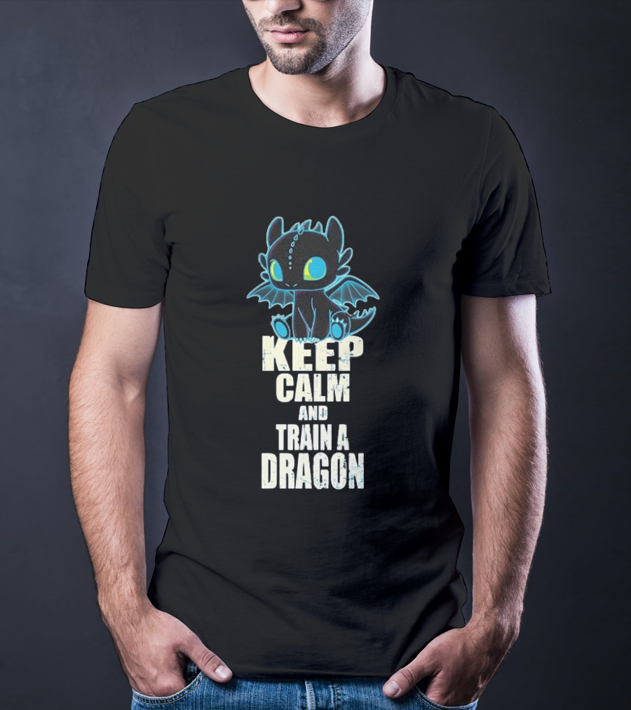 Keep Calm And Train A Dragon Toothless How To Train Your Dragon Cartoon T-Shirt