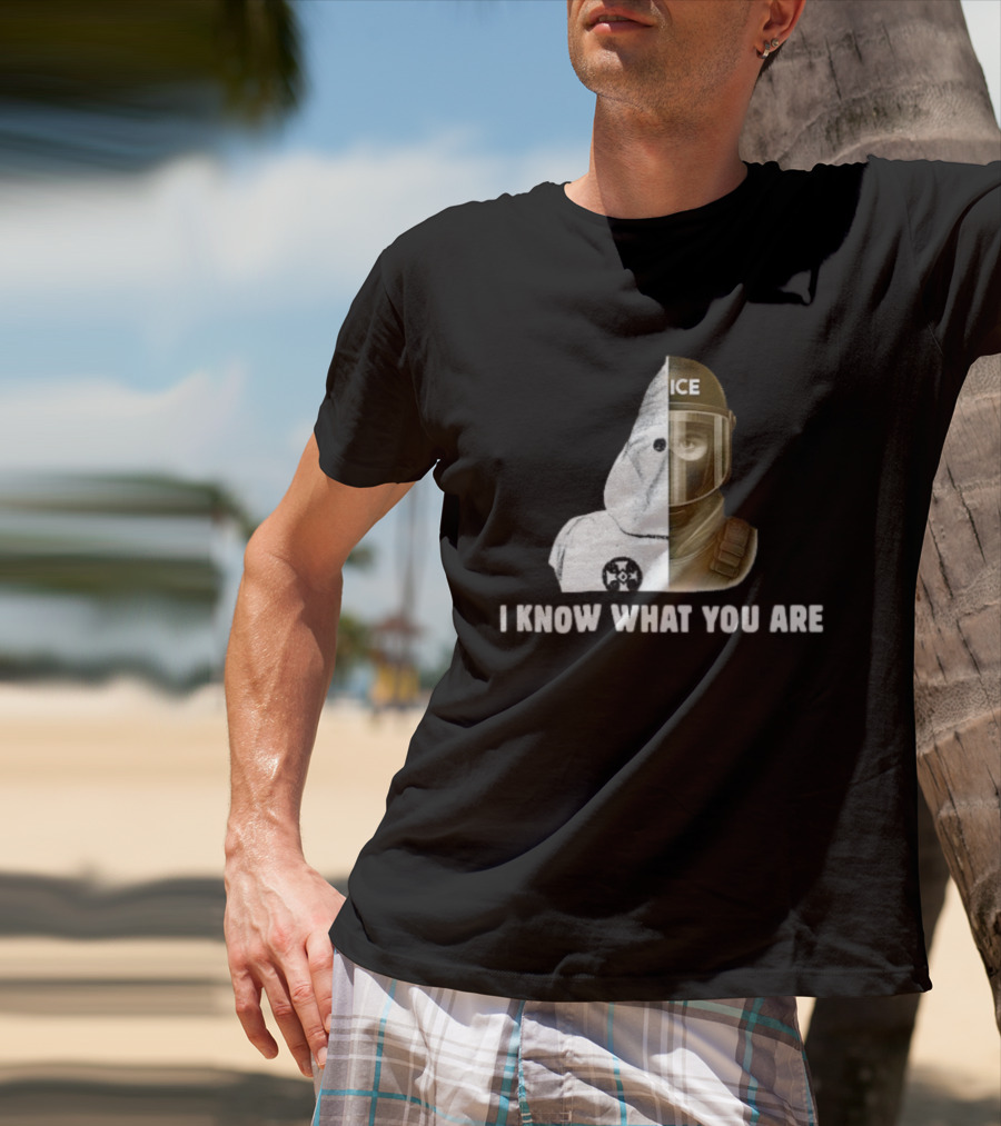 Abolish ICE Social Justice I Know What You Are KKK Comparison T-Shirt
