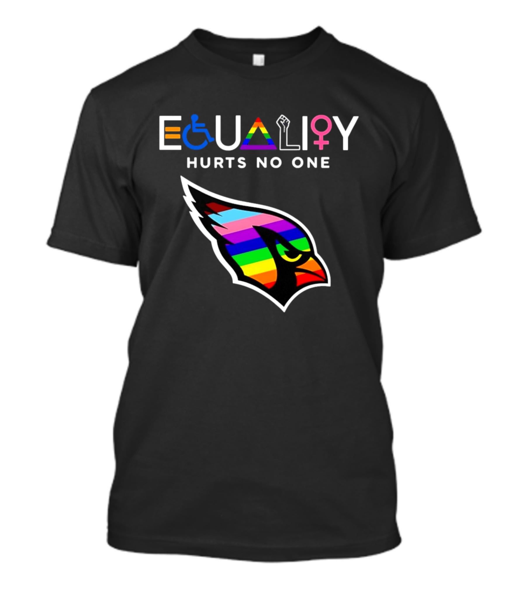 Arizona Cardinals Pride Equality Hurts No One Inclusive Message T-Shirt