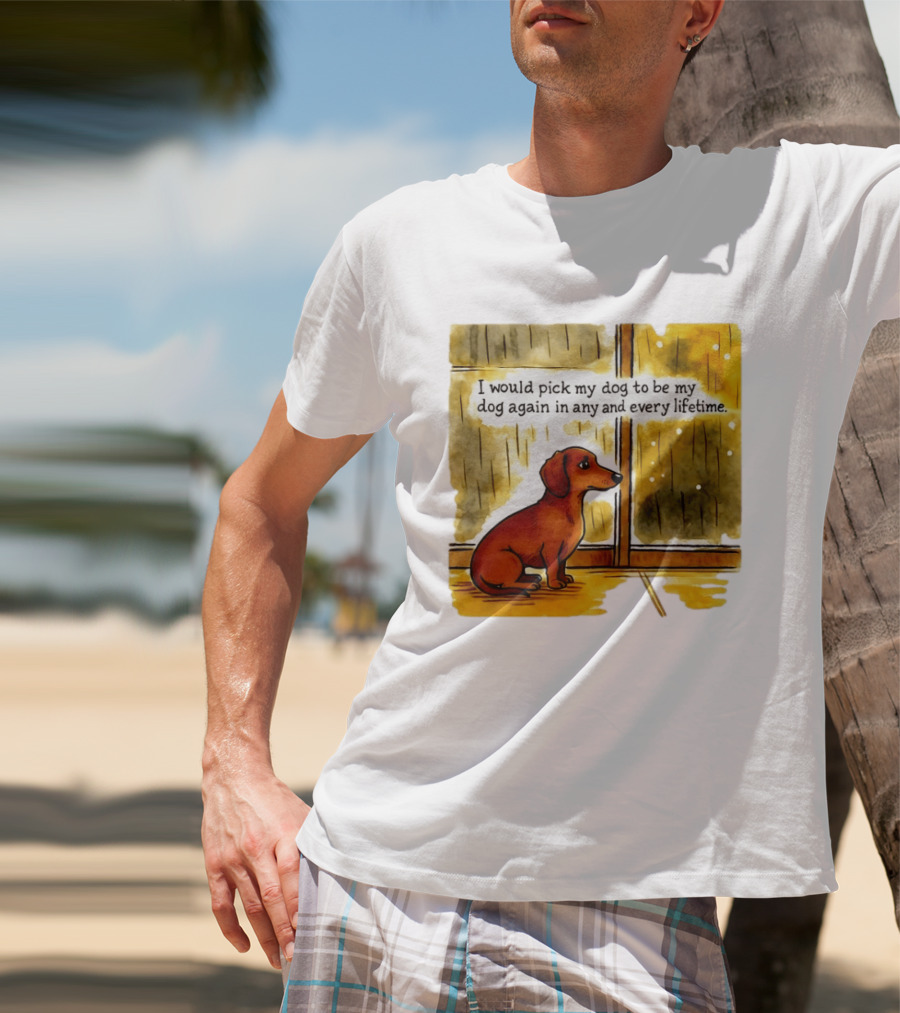 I Would Pick My Dog To Be My Dog Again In Any And Every Lifetime Dachshund By Window T-Shirt