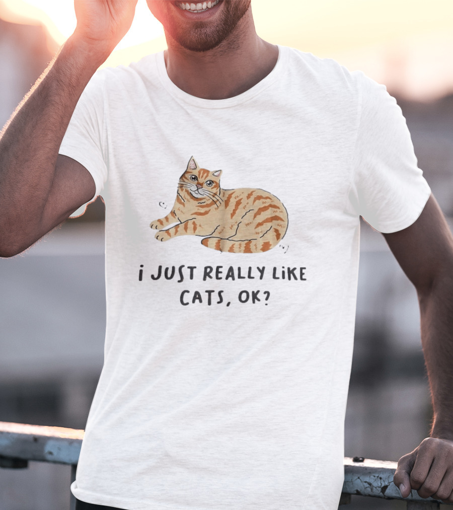 I Just Really Like Cats Ok With Cute Orange Tabby Cat T-Shirt