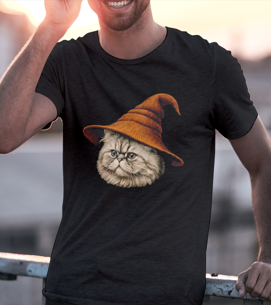 Beanie Cat Wizard Cartoon Plush Orange Hat Feline T-Shirt