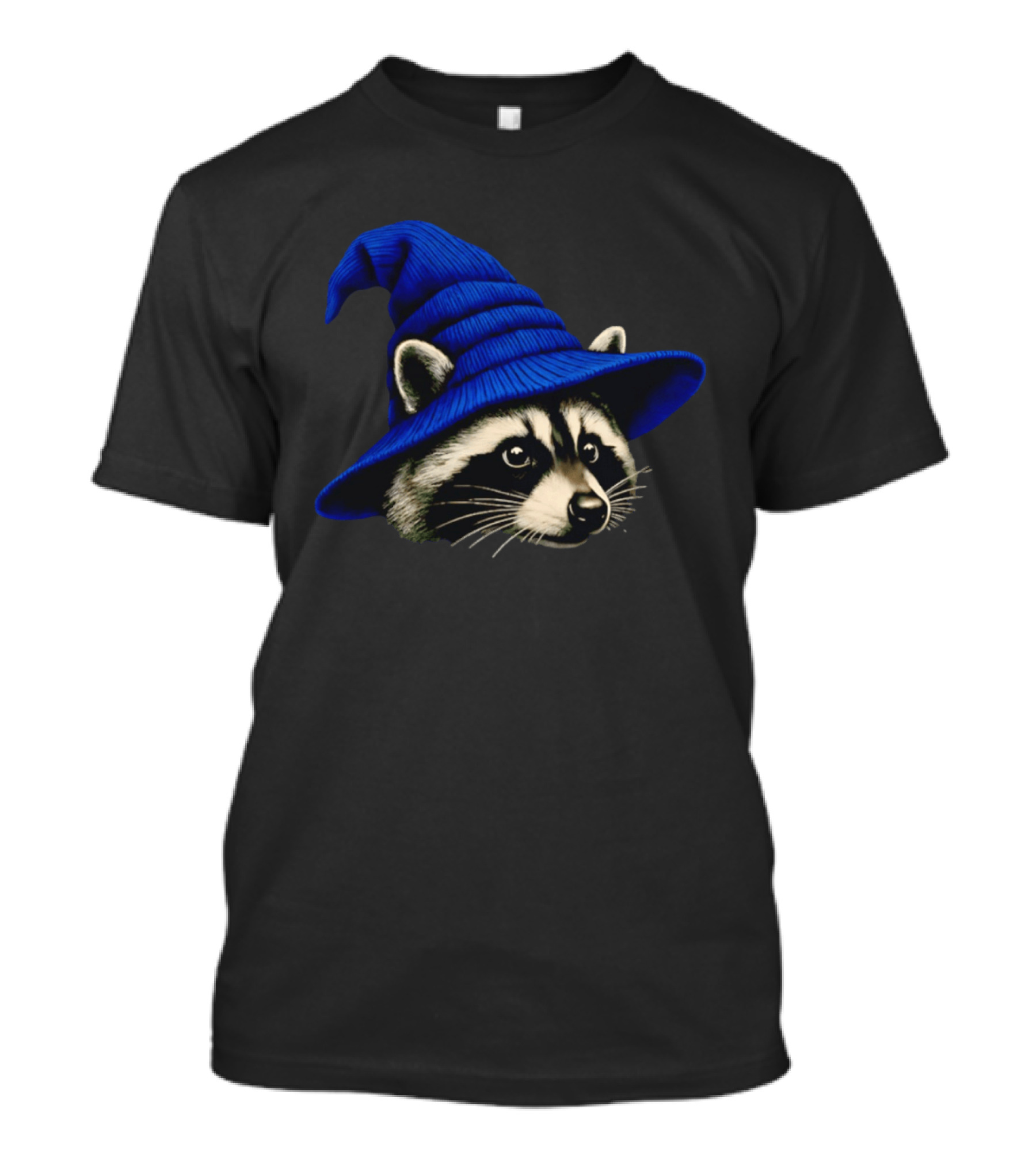 Beanie Raccoon Wizard Cartoon Blue Hat T-Shirt
