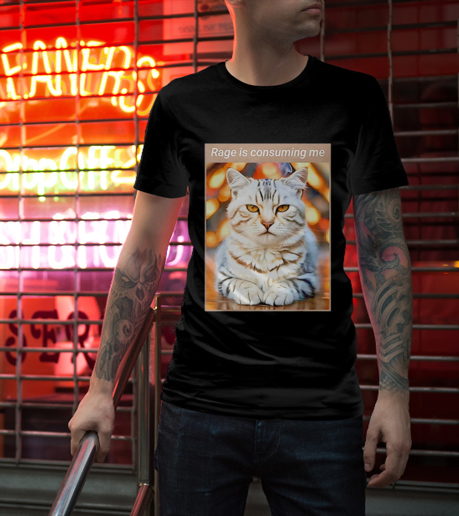 Cat Rage Is Consuming Me Meme Tiger Stripes T-Shirt