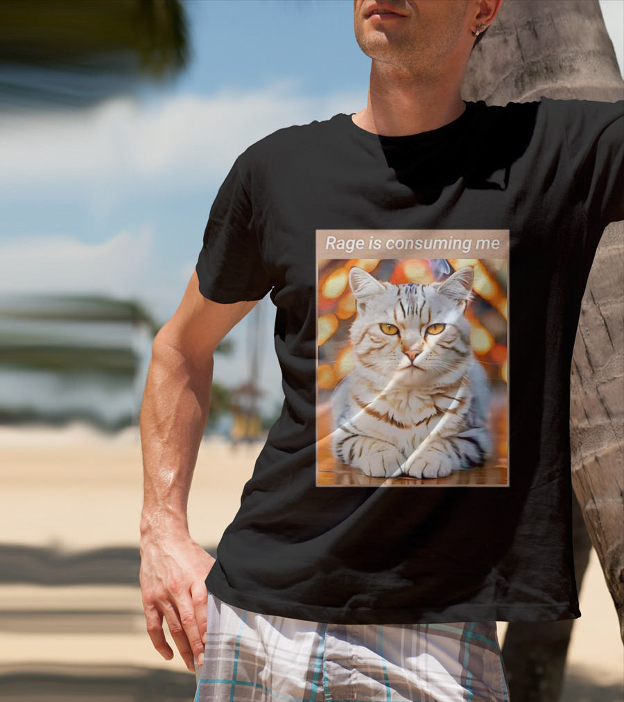 Cat Rage Is Consuming Me Meme Tiger Stripes T-Shirt