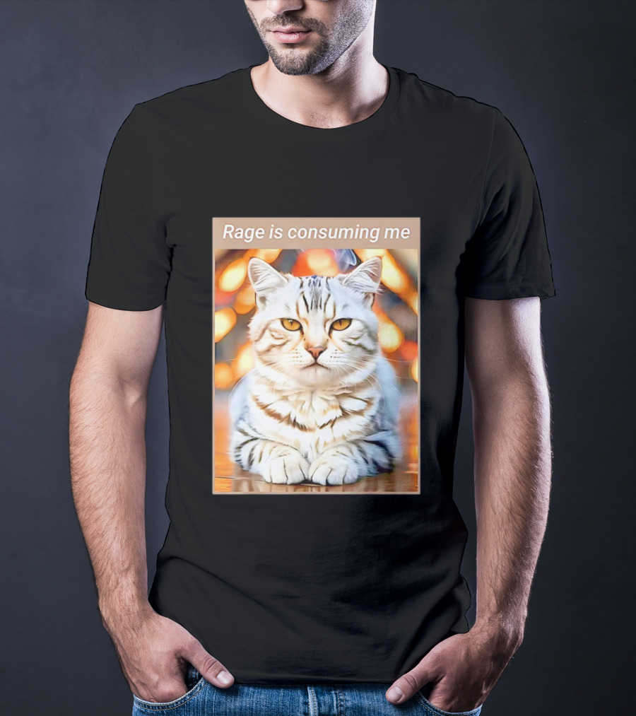 Cat Rage Is Consuming Me Meme Tiger Stripes T-Shirt
