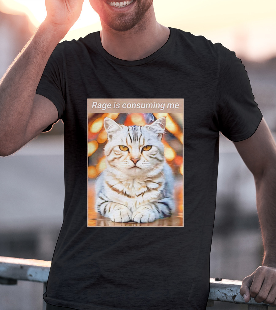Cat Rage Is Consuming Me Meme Tiger Stripes T-Shirt