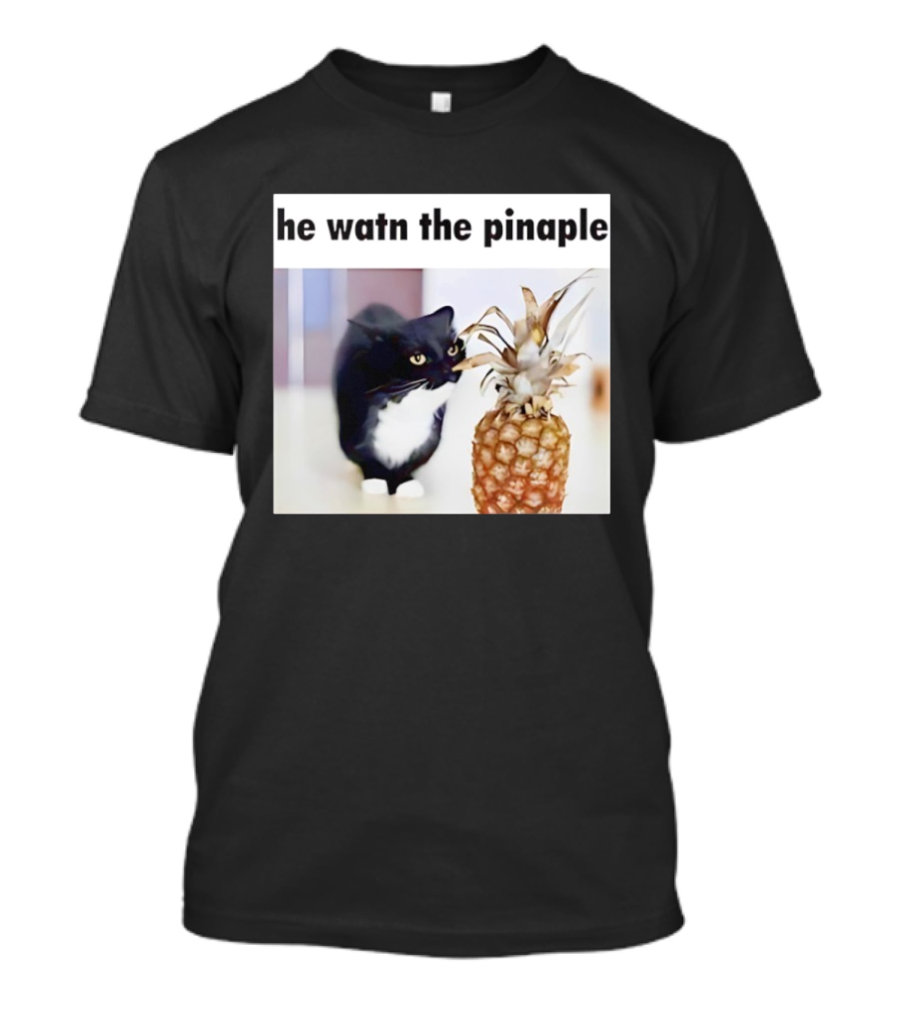 He Watn The Pinaple Black Cat And Pineapple T-Shirt