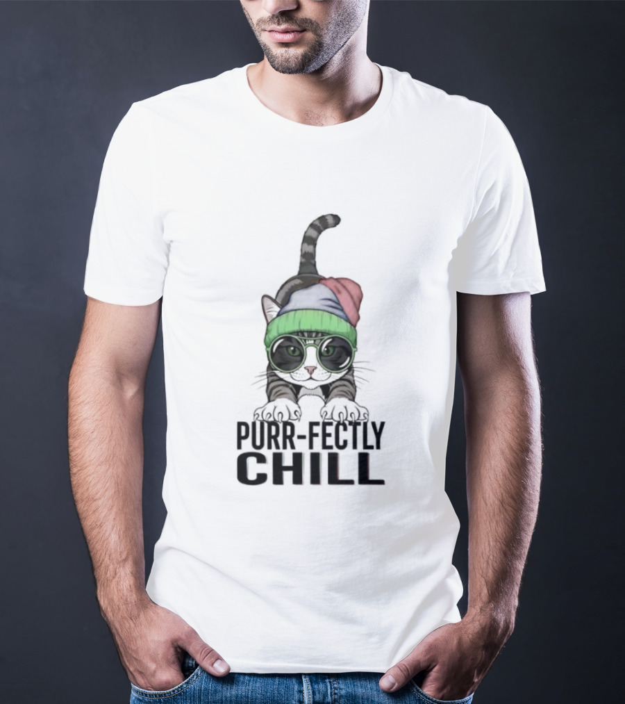 Purr Fectly Chill Cat With Beanie And Sunglasses T-Shirt