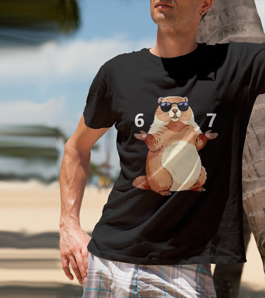 Groundhog Wearing Sunglasses 6 7 Six Seven Meme T-Shirt