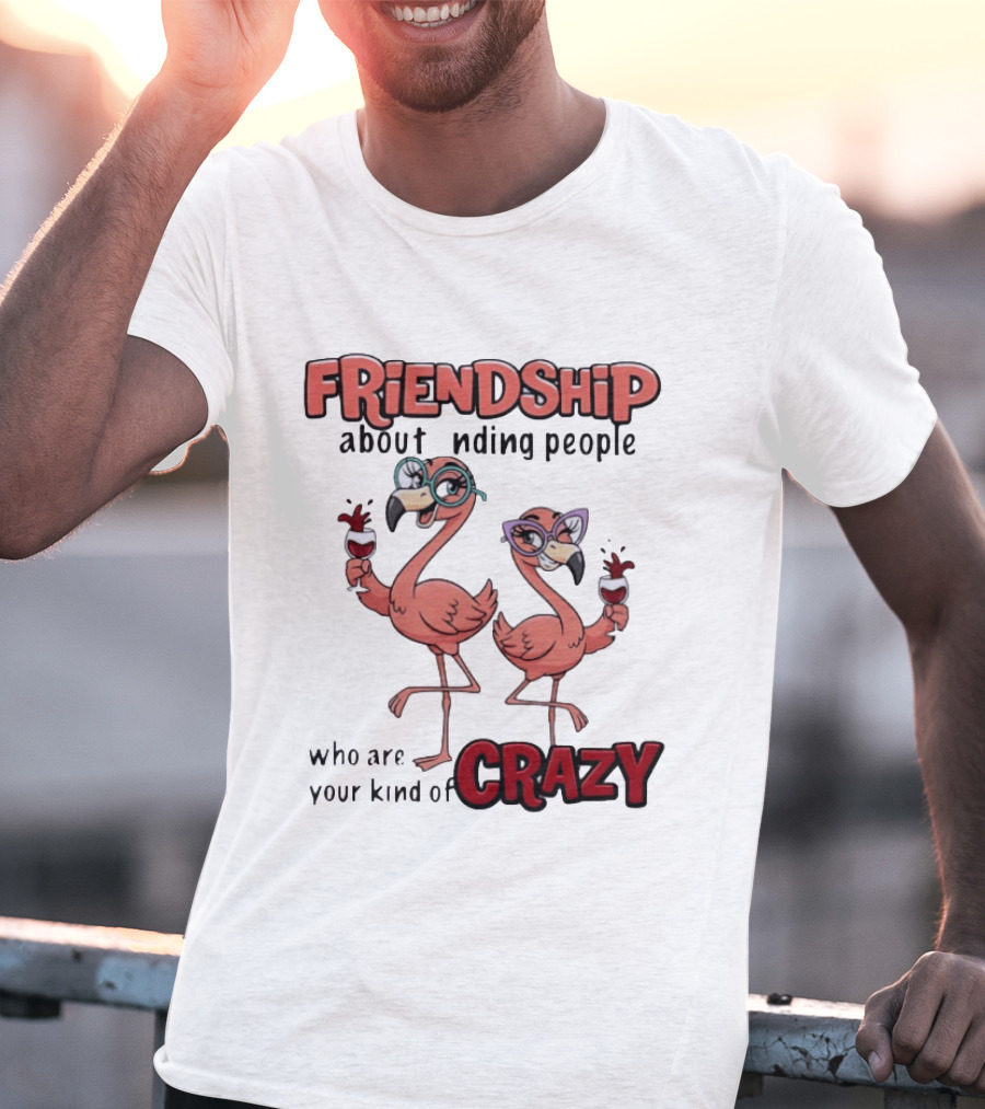 FRIENDSHIP About Finding People Who Are Your Kind Of CRAZY Flamingo Humor T-Shirt